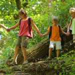 Four children wearing backpacks holding hands as they balance along a fallen log on a wooded summer camp hike
