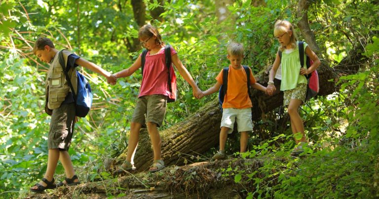 Four children wearing backpacks holding hands as they balance along a fallen log on a wooded summer camp hike
