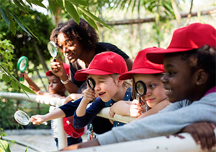 Children enjoying summer camp activities