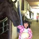Photo 1: Cedar-Grove-Horsemanship-Classes