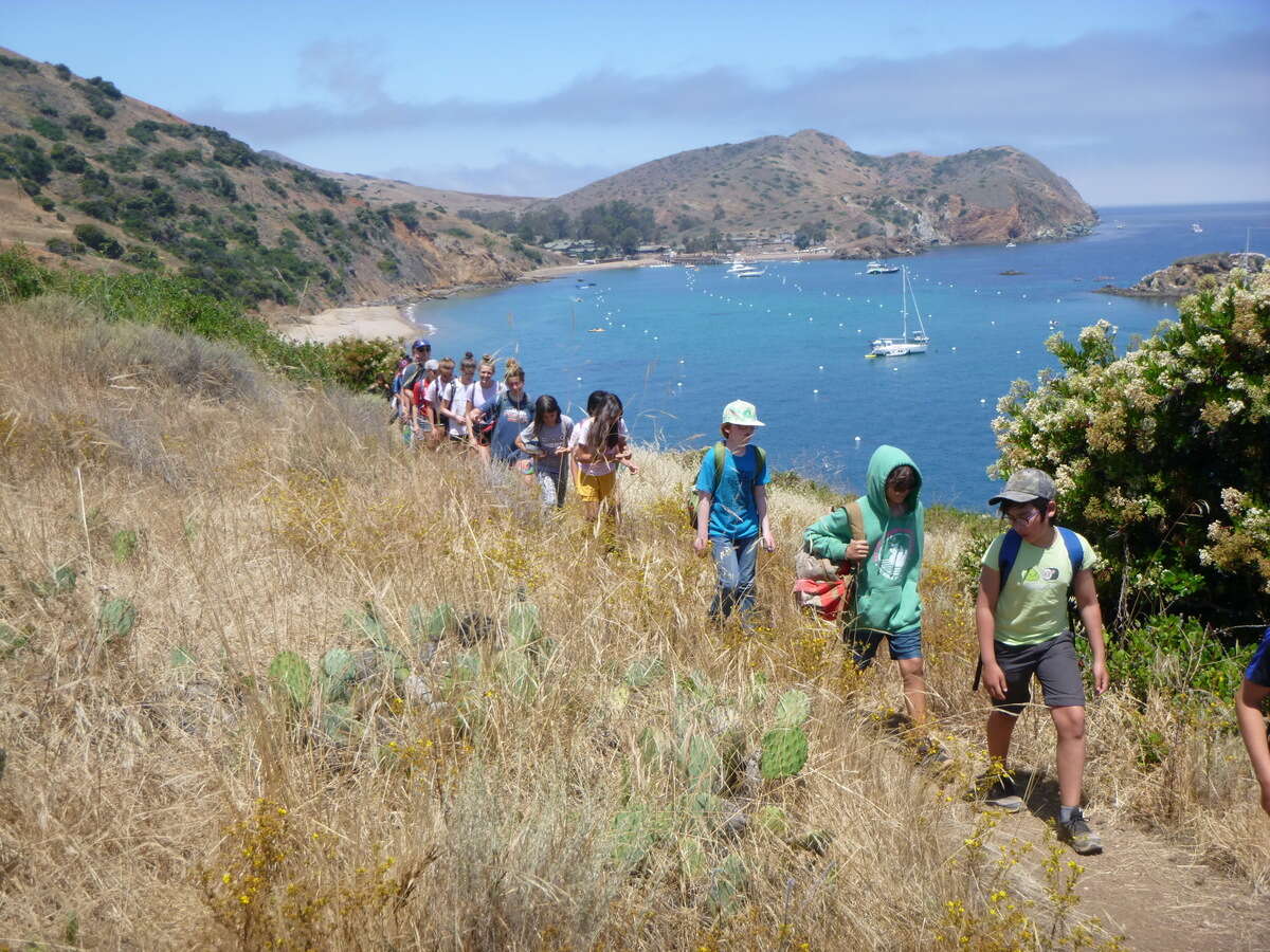 33++ Catalina island summer camp jobs Campgrounds