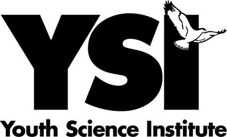 Logo of 
